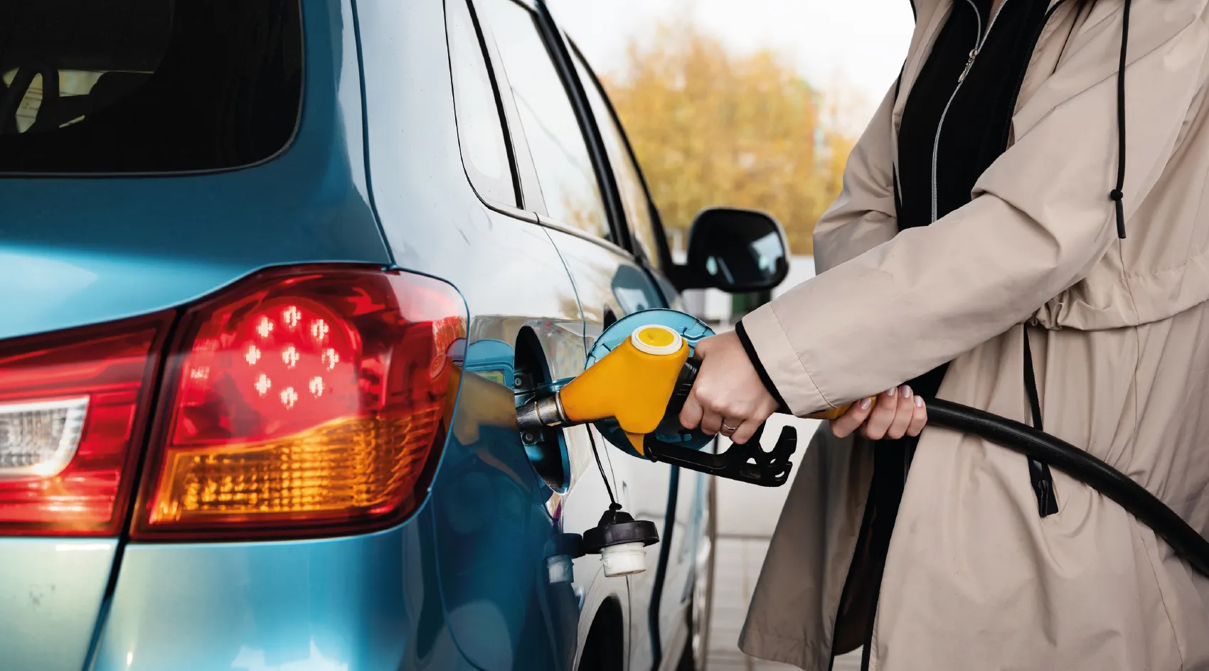 Imagenes nuevas dos mares-08